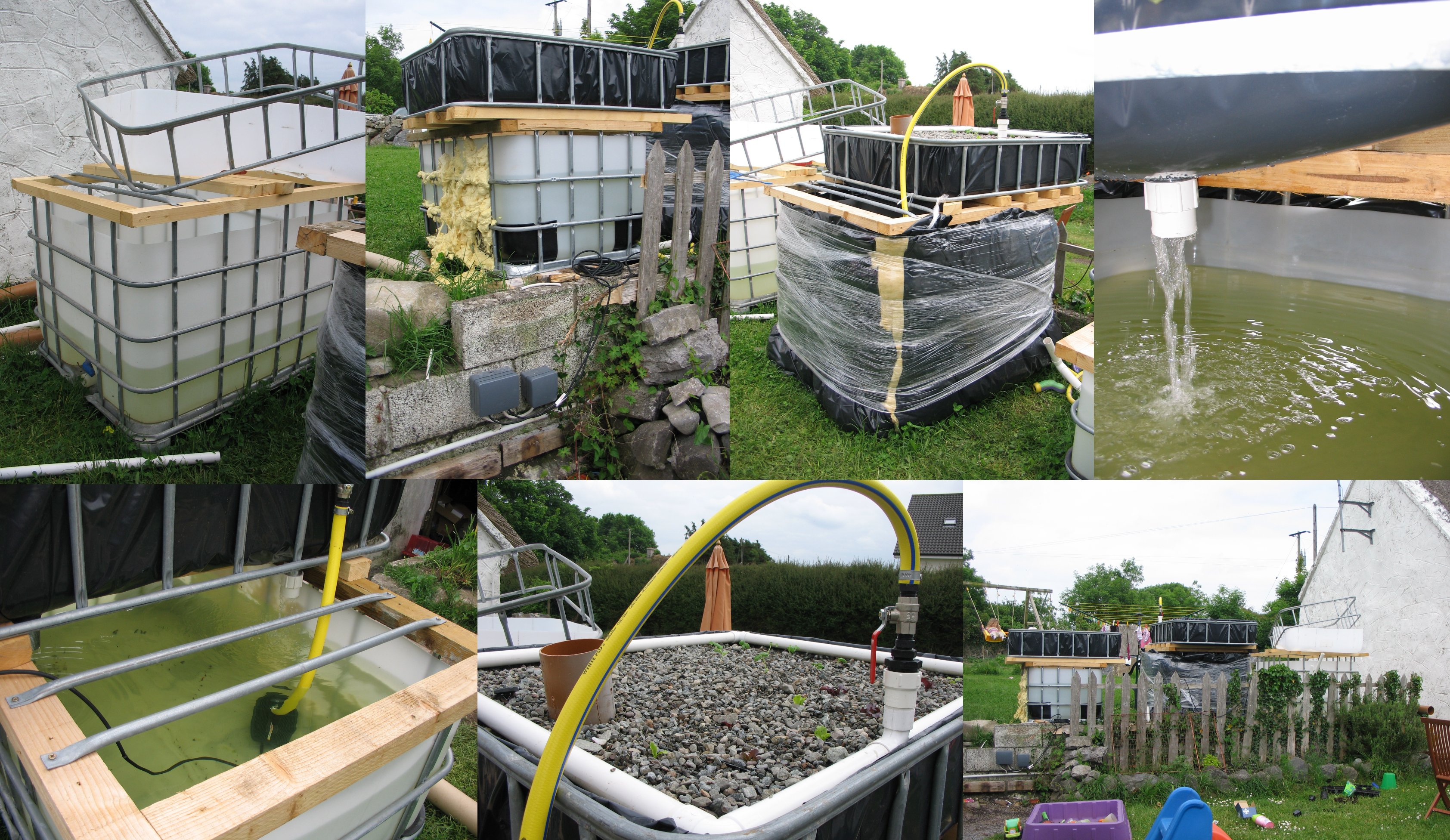  hard on our new side project – our Headford backyard aquaponics