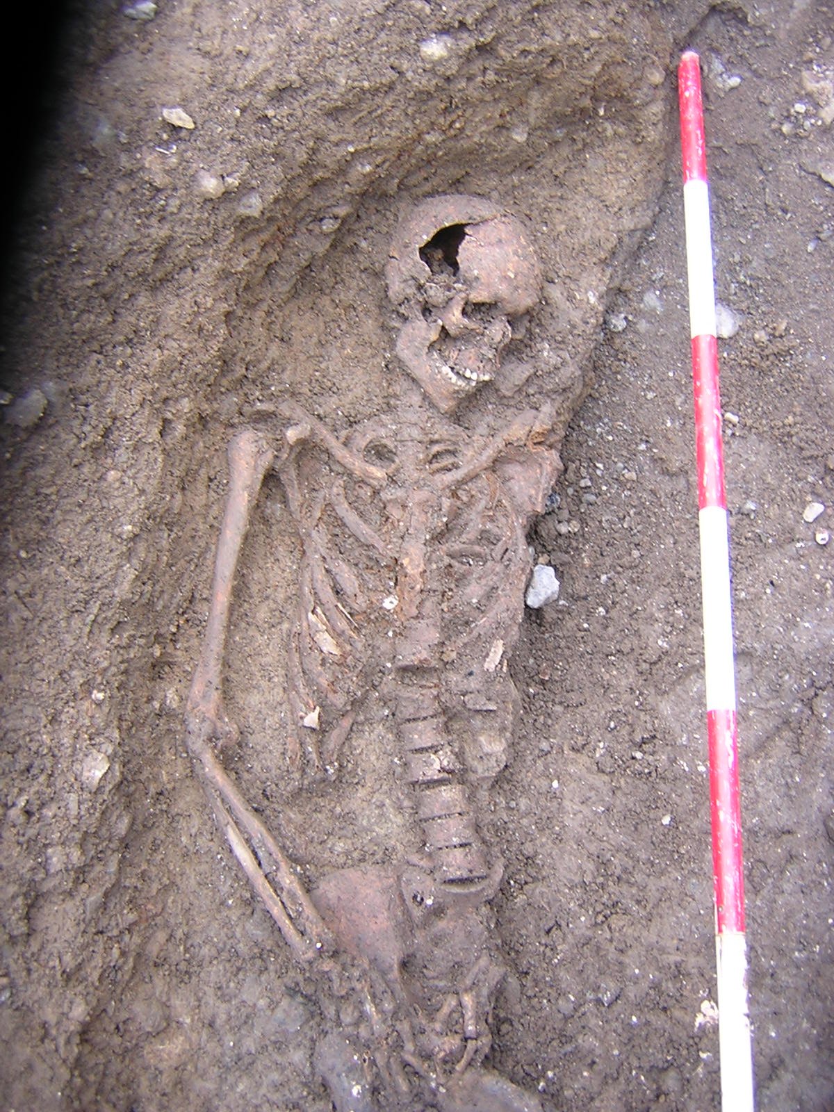 Eyre Square - Skeleton in situ