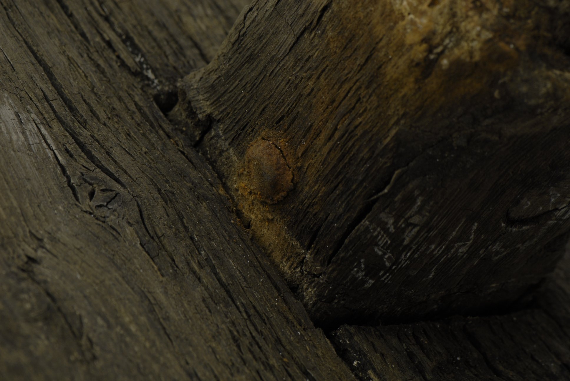 Detail showing wooden dowel