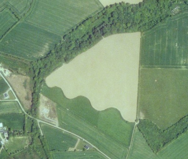 wexford-wiggly-field-boundary-cropped