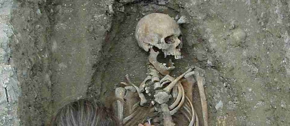 Ballinasloe skeleton 3